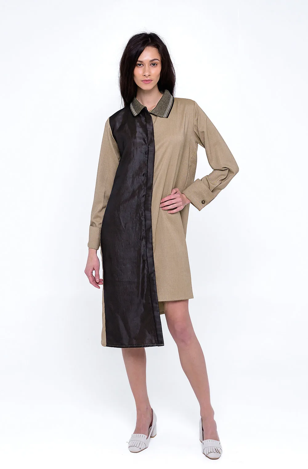 Asymmetric Paneled Dress