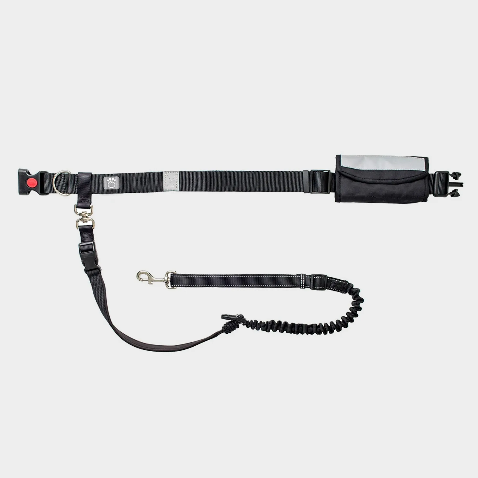 Waist Belt and Bungee Dog Leash